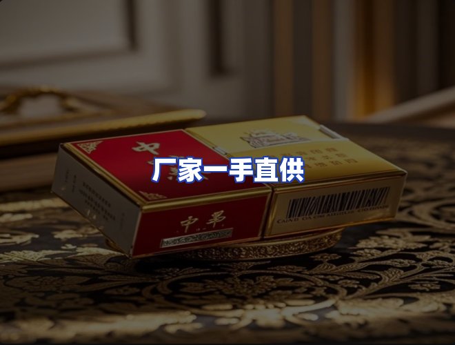 专业团队